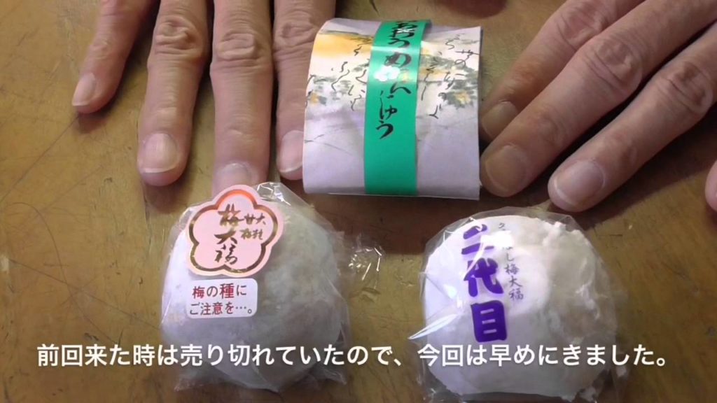 Japan Travel-Ome's Tamagawa River and Famous Ume Sweet Treats 青梅の多摩川と梅大福