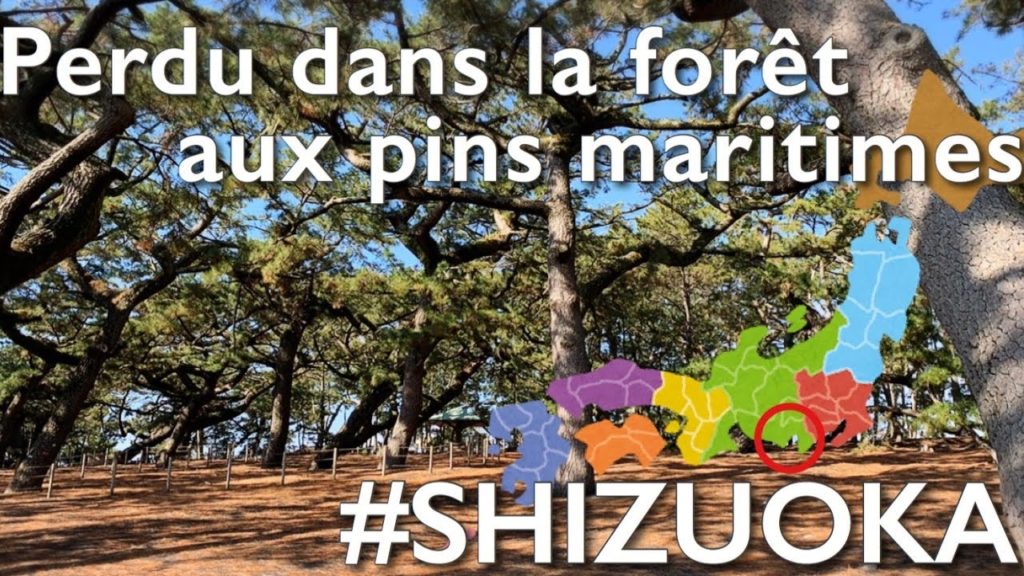 VLOG EN VÉLO!! KUNOZAN ET MONT FUJI VLOG EN VÉLO!! KUNOZAN ET MONT FUJI