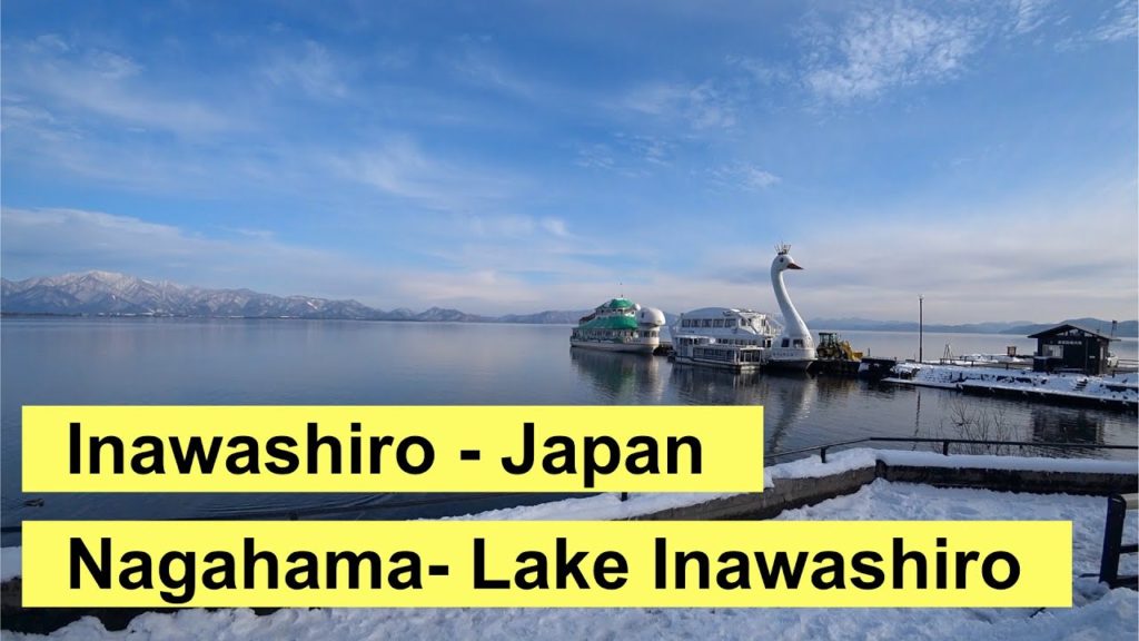 To feed swans in Nagahama - Lake Inawashiro Japan travel