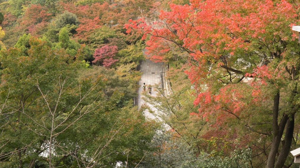 Autumn in Japan (Shirakawa, Kyoto, Osaka)