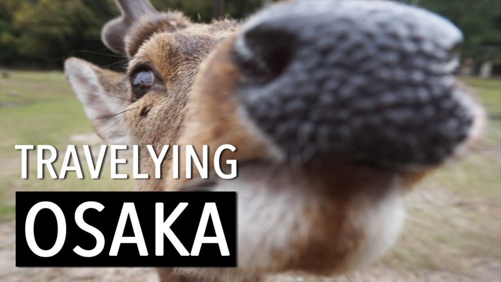 Travel-ying Osaka & Nara Japan