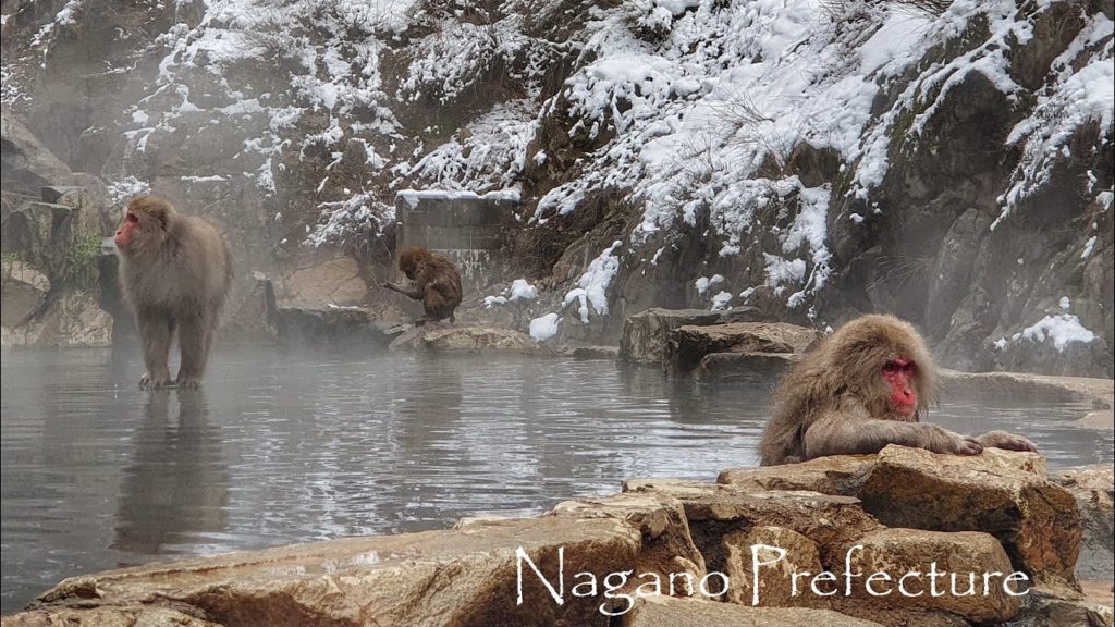 Nagano prefecture - weekend trip