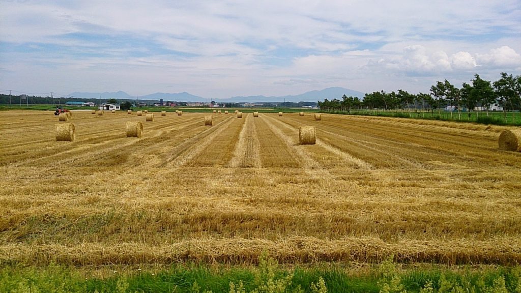 北海道旅行夏 2014 Hokkaido Japan in Summer Trip 北海道旅行夏 2014 Hokkaido Japan in Summer Trip