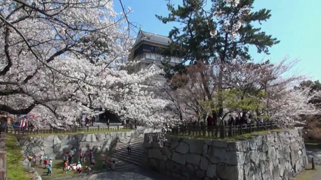 小倉城 サクラ 2014 Kokura castle in japan 小倉城 サクラ 2014 Kokura castle in japan