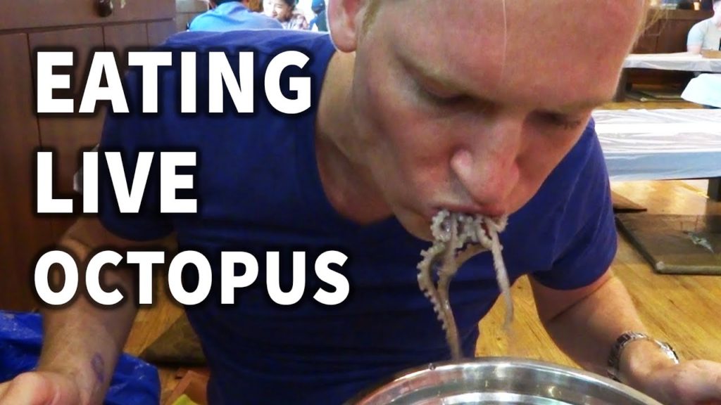 Eating Live Octopus in Korea