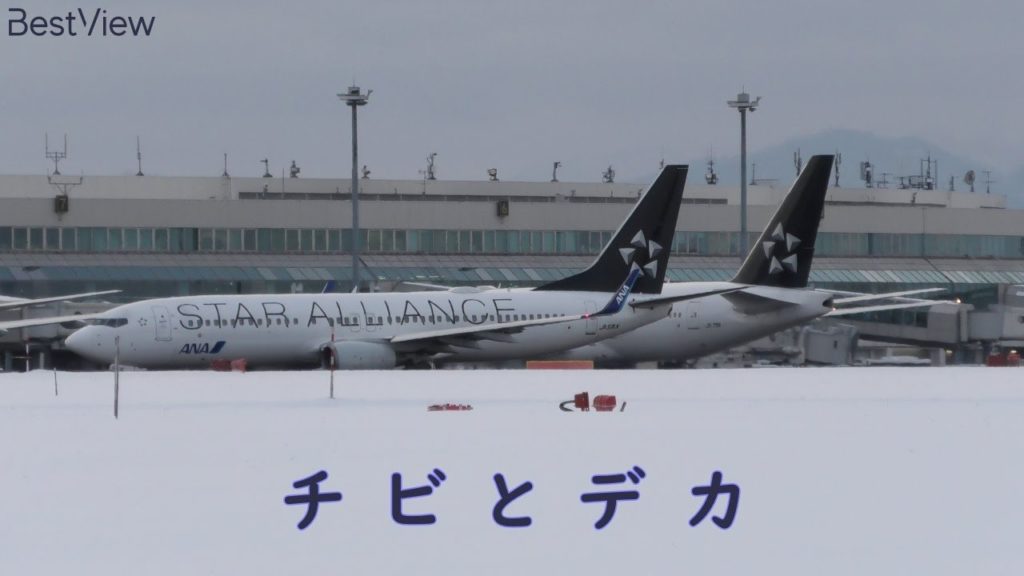 【チビアラ・デカアラ】札幌新千歳空港 離着陸 2020/1/28 ② (CTS)Sapporo New Chitose Airport Takeoff and Landing