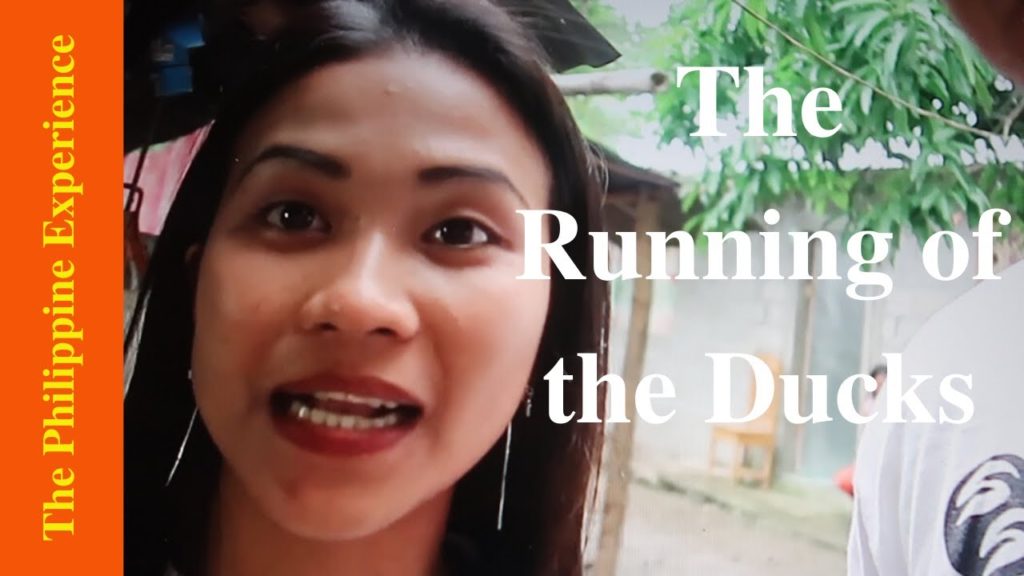 (Philippines) Preparing Ducks for Duck Adobo (GRAPHIC)