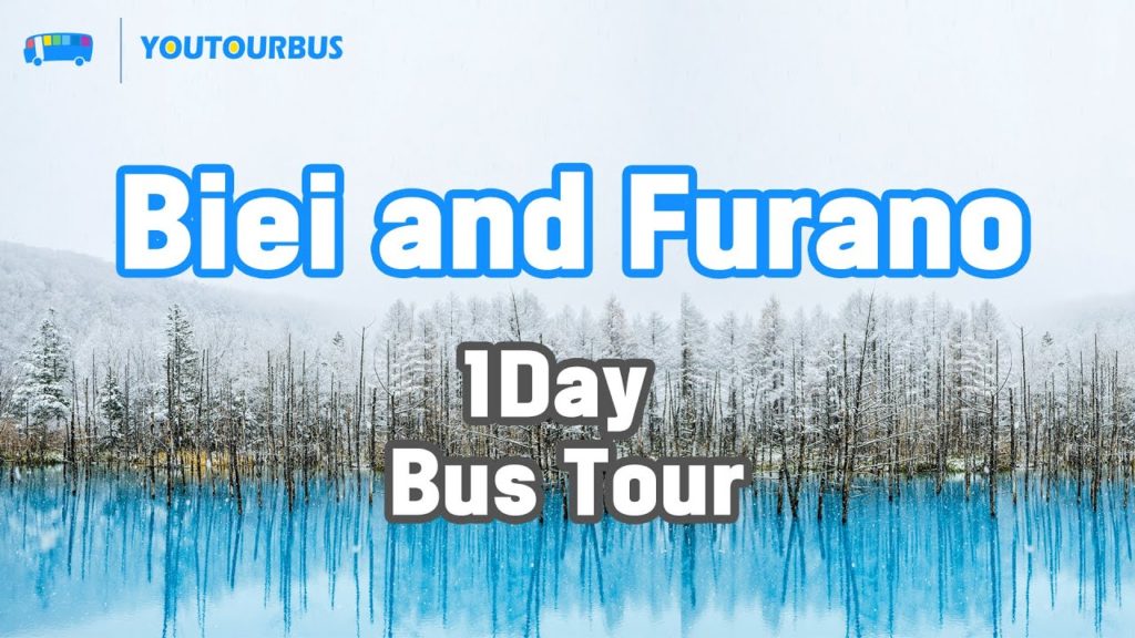 Biei and Furano 1Day Bus Tour / 홋카이도 비에이 x 후라노 1일 버스투어