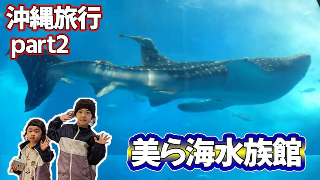 【沖縄旅行】part2 美ら海水族館へ行ったよ♪ ほなちなTV ,Trip to Okinawa Hona&Cheena’sTV 【沖縄旅行】part2 美ら海水族館へ行ったよ♪ ほなちなTV ,Trip to Okinawa Hona&Cheena’sTV