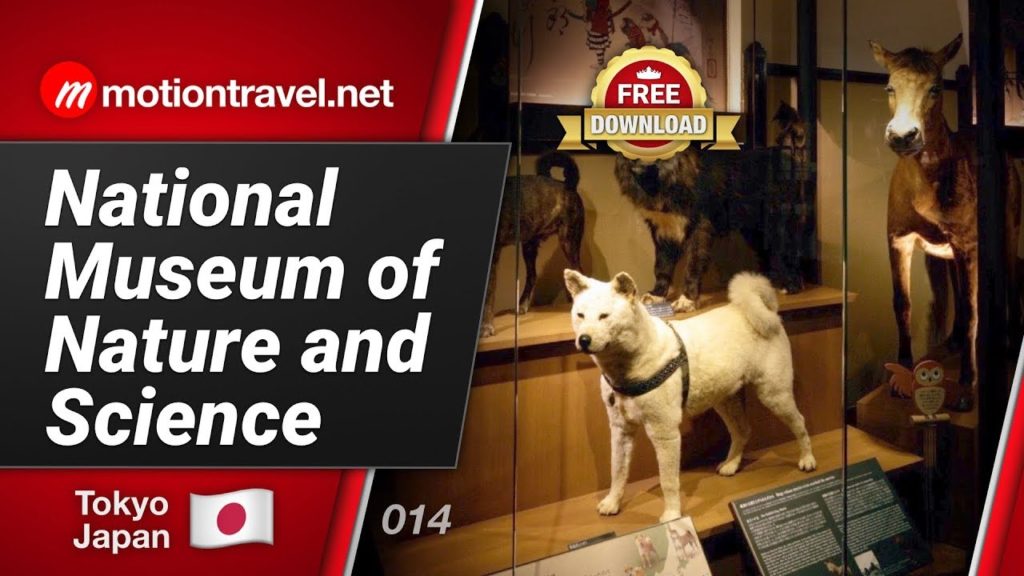 TOKYO TRAVEL GUIDE: National Museum of Nature and Science