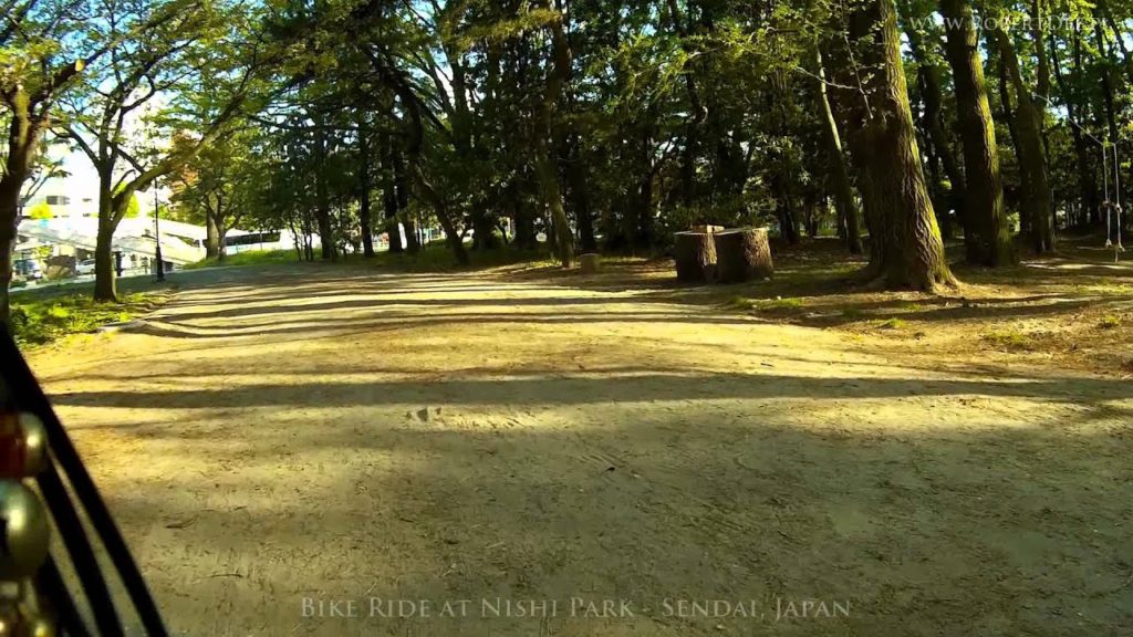 727. Bike Ride at Nishi Park, Sendai, Japan