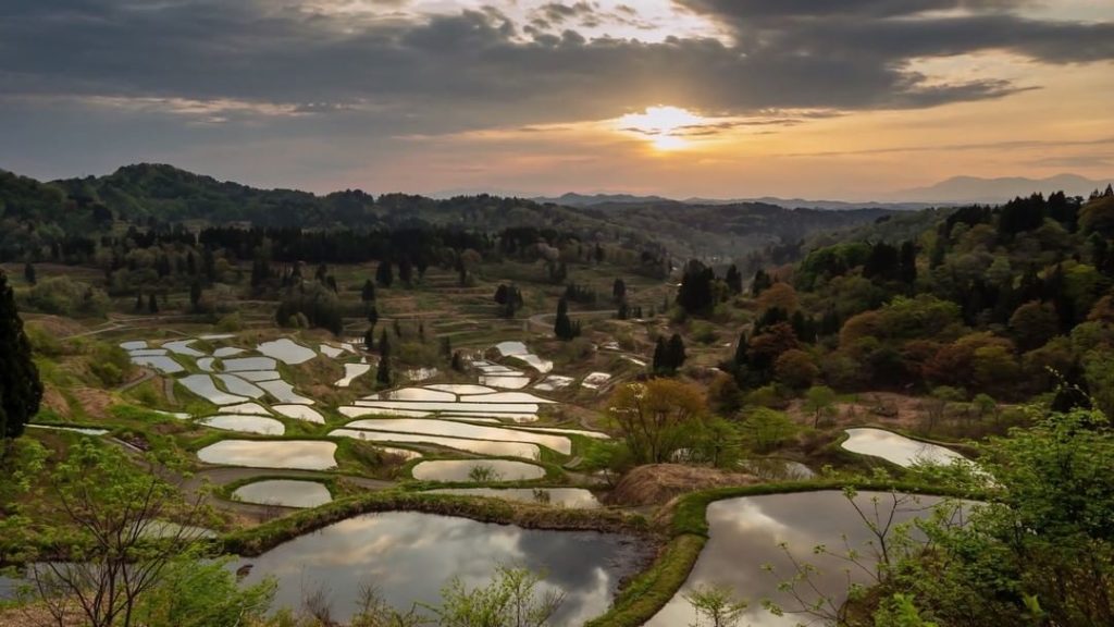 Visit Japan: Niigata Prefecture is one of Japan’s most renown rice-growing regions. Located … Niigata Prefecture is one of Japan's most renown rice-growing regions. Located ...