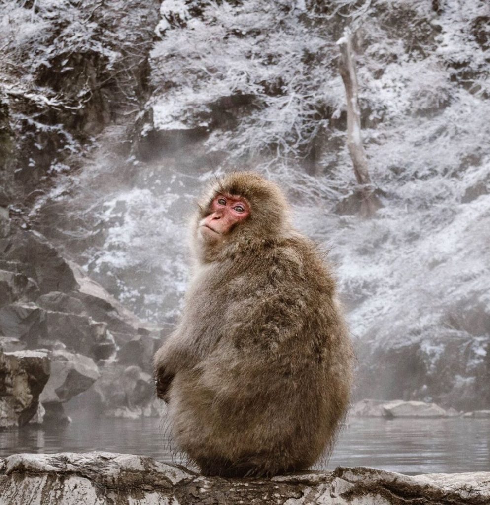 We get quite a few requests in winter about the best places for skiing or snowbo...