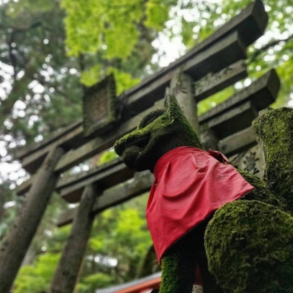 The old saying goes that a rolling stone gathers no moss, but apparently watchfu...