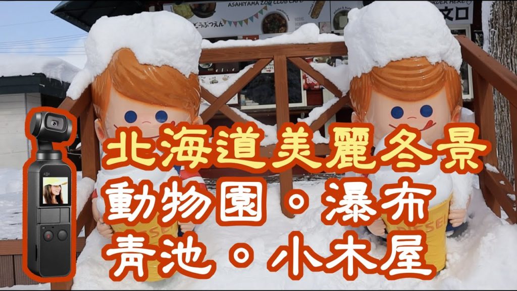 Day 2- 日本北海道冬季旅遊 - 一日遊遊覽車 to 旭川旭山動物園企鵝散步》白鬚瀑布》美瑛青池》森林精靈露台【玲玲微電影 SmileVlog】