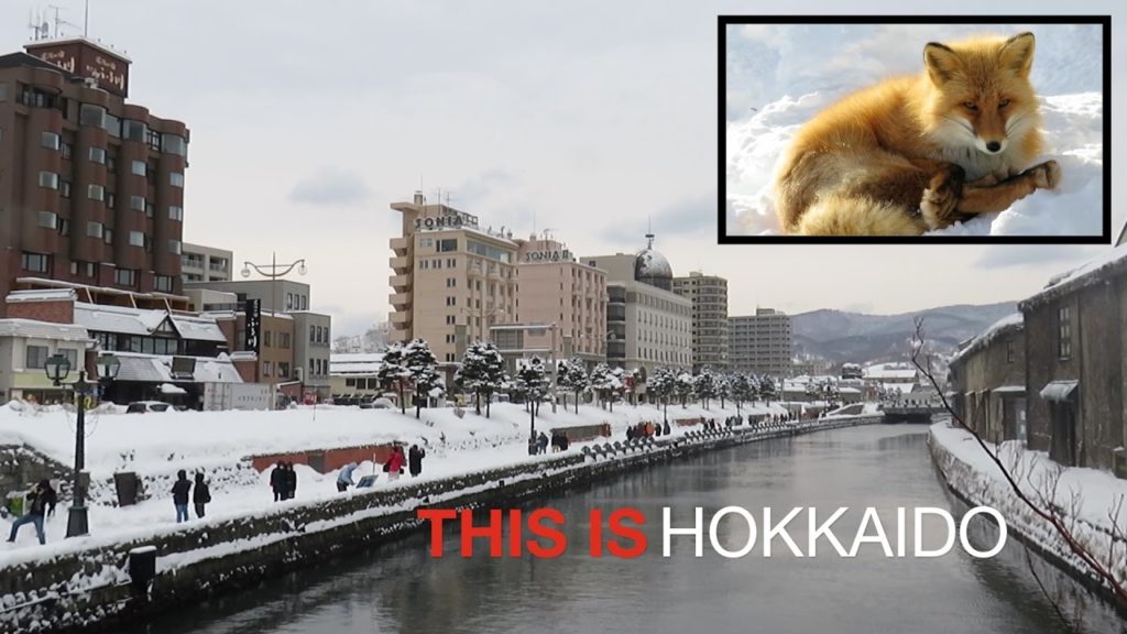 THIS IS HOKKAIDO THIS IS HOKKAIDO