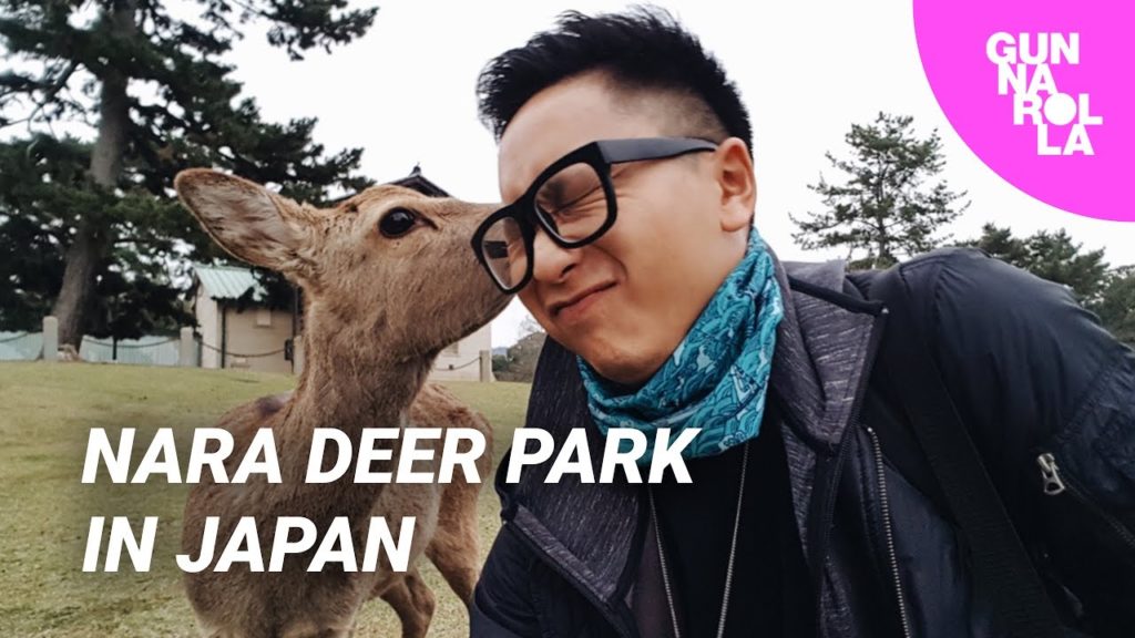 Visiting Nara Park: The Land Of Deer Visiting Nara Park: The Land Of Deer