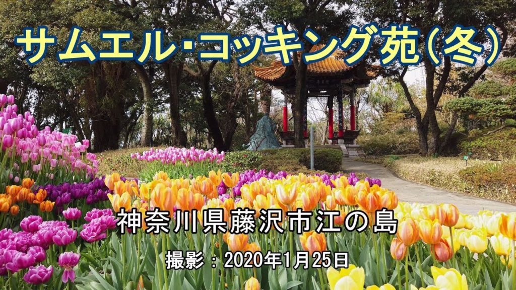 サムエル・コッキング苑（冬）[4K] "Samuel Cocking Garden" (Winter)