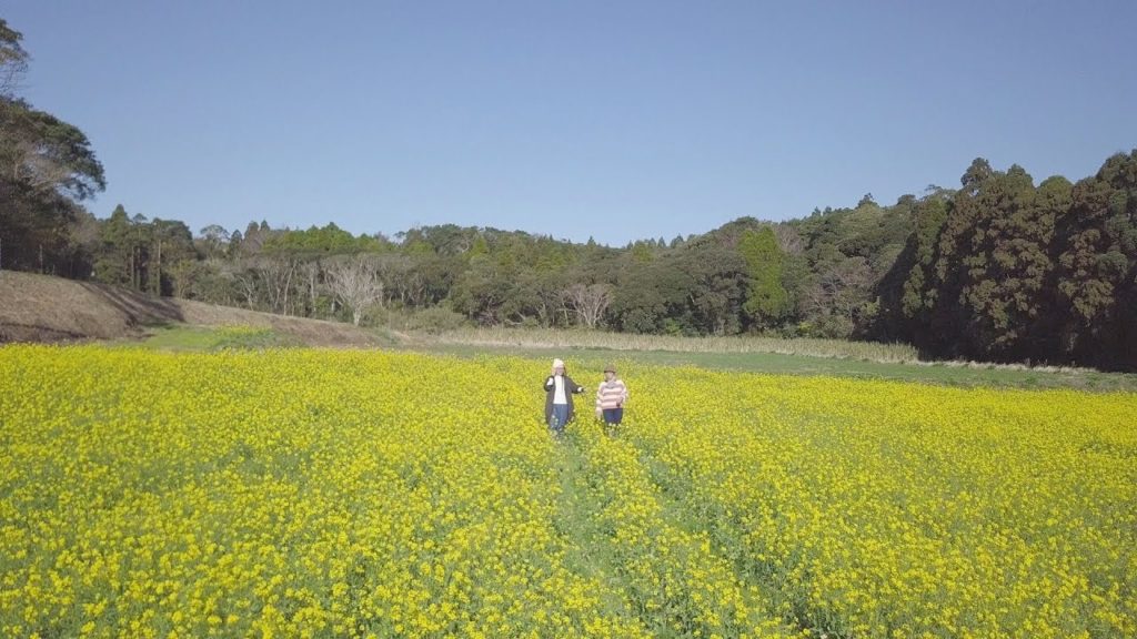 Timeless Japan,Tanegashima - Vol.1 Tamiko Yagi