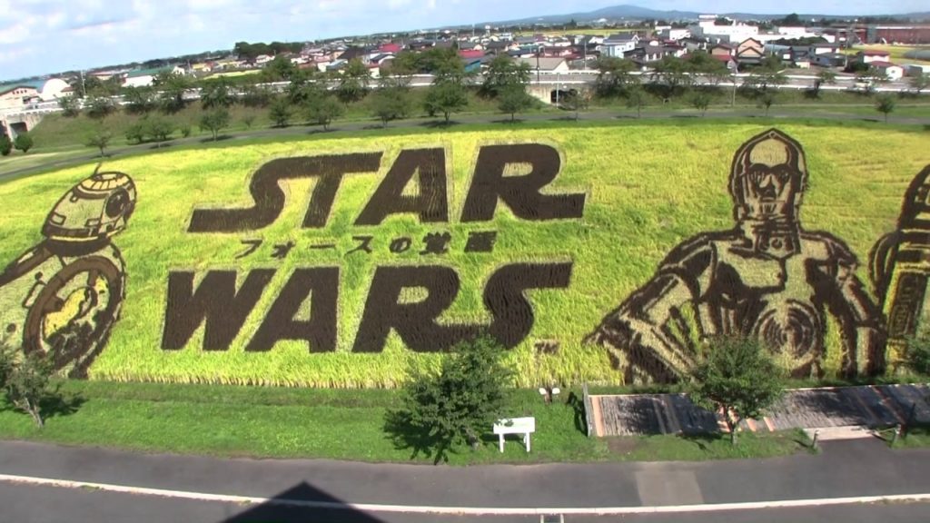 田舎館村　田んぼアート　2015　Art of Rice Paddy in Inakadate village Aomori Japan．