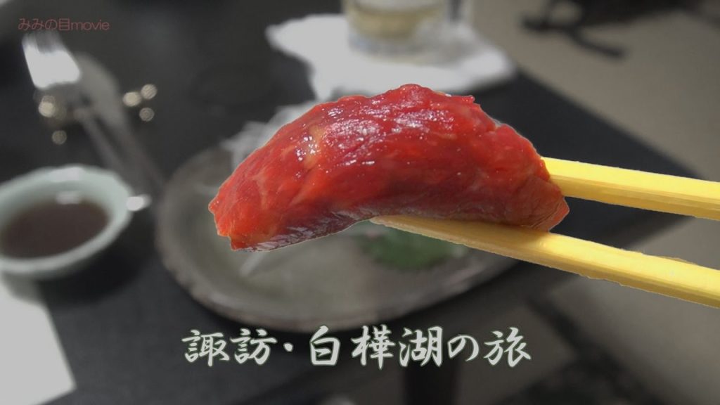 summary version of Suwa and Shirakaba Lake 信州諏訪・白樺湖の旅総集編:Gourmet Report グルメレポート