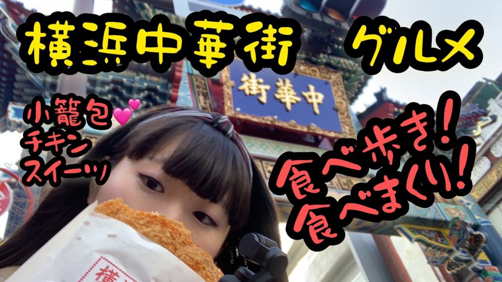 横浜中華街で食べ歩きしたら楽しすぎた。猫は中華街で夢を見る。