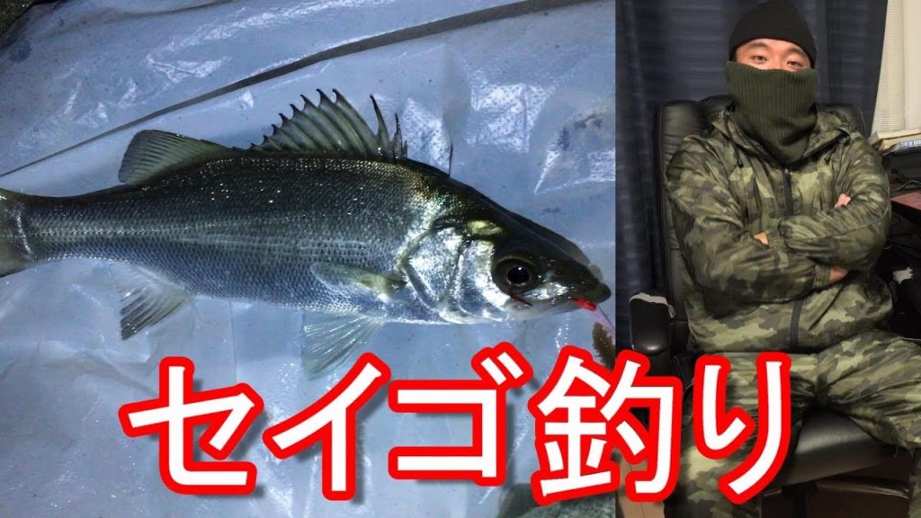 静岡県浜松市・浜名湖弁天島でセイゴ（シーバス(チーバス））釣り！電気浮きFishing at Lake Hamana in Hamamatsu city in Japan