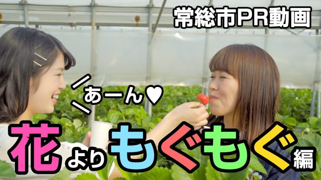 【茨城県常総市PR動画】ゆっくり ゆったり やすらぎの街 常総 「花よりもぐもぐ」編