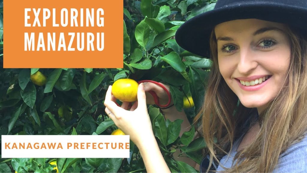 Fish Market & Mikan Picking! Manazuru - Kanagawa Prefecture!