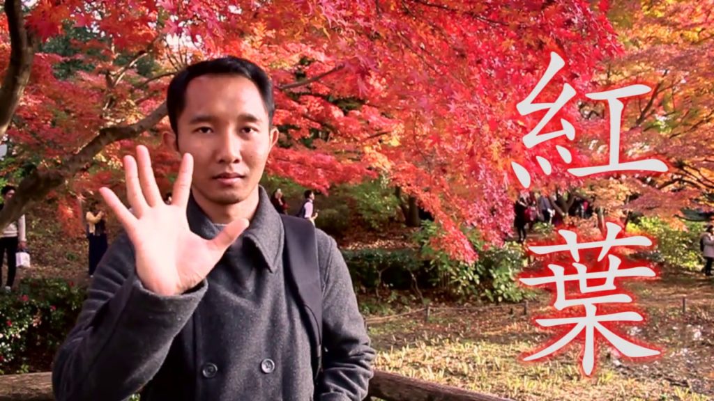 Wow!! Musim GUGUR di JEPANG (Showa Kinen Park Tachikawa)