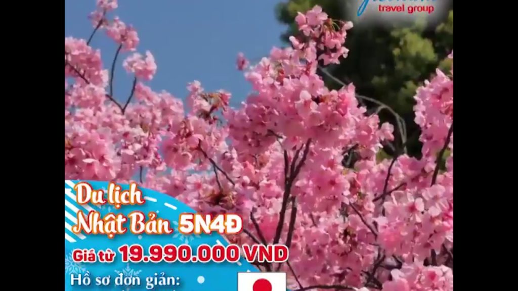 Tour Nhật Bản Mùa Hoa Anh Đào 19tr990 Tour Nhật Bản Mùa Hoa Anh Đào 19tr990
