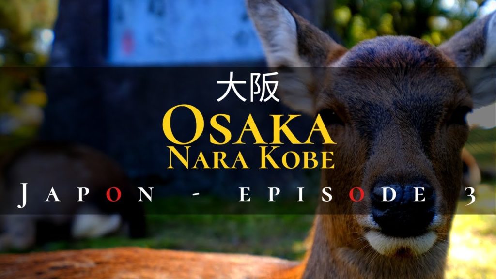 VLOG VOYAGE JAPON – Episode 3 – OSAKA NARA KOBE VLOG VOYAGE JAPON - Episode 3 - OSAKA NARA KOBE