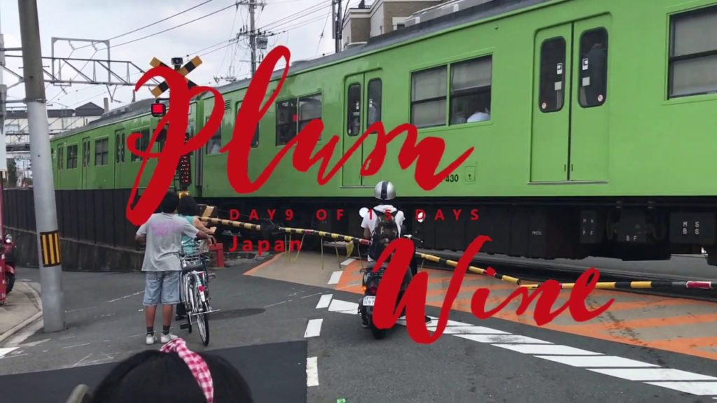 Travel Vlog🌎Plum Wine | 170729 Part.9🌈Day9 of 15 days in JAPAN