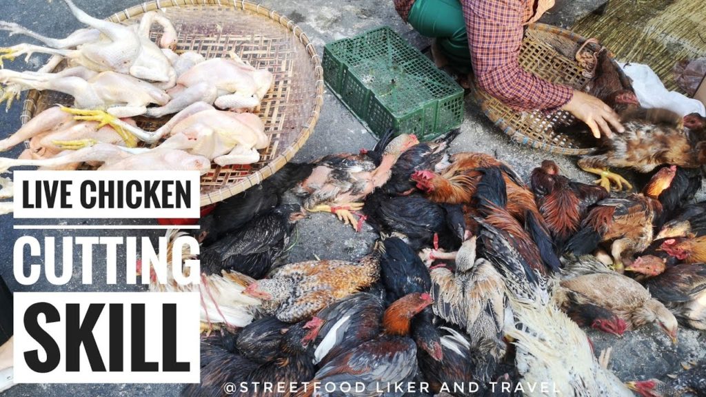 Raw Street Live Chicken Cutting, Street Food Cambodia