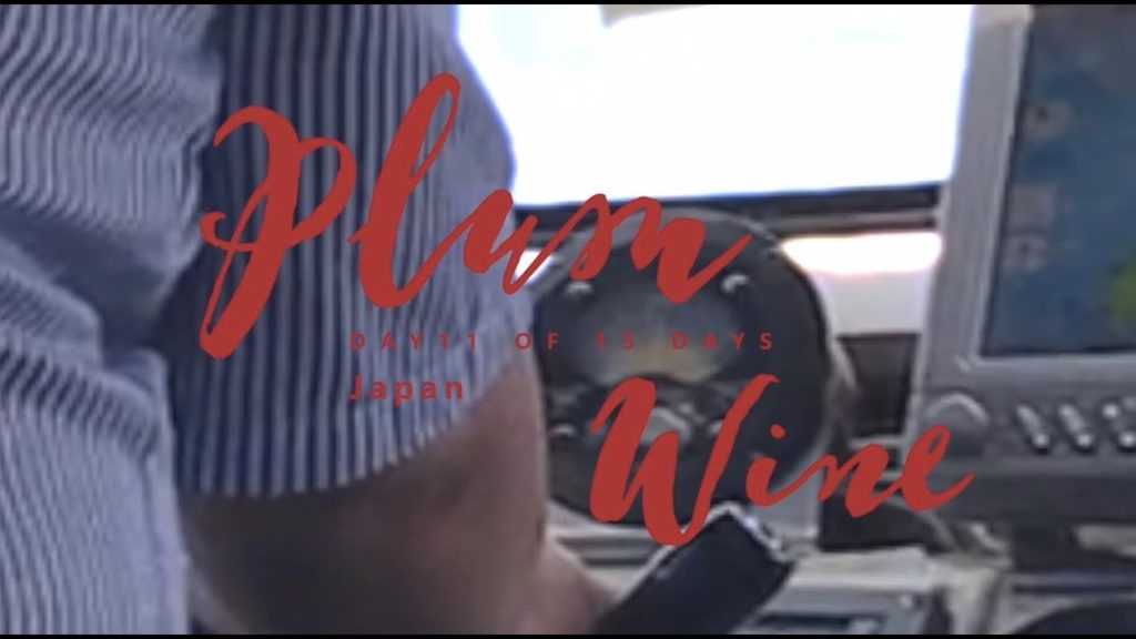 Travel Vlog🌎Plum Wine | 170731 Part.11🌈Day11 of 15 days in JAPAN