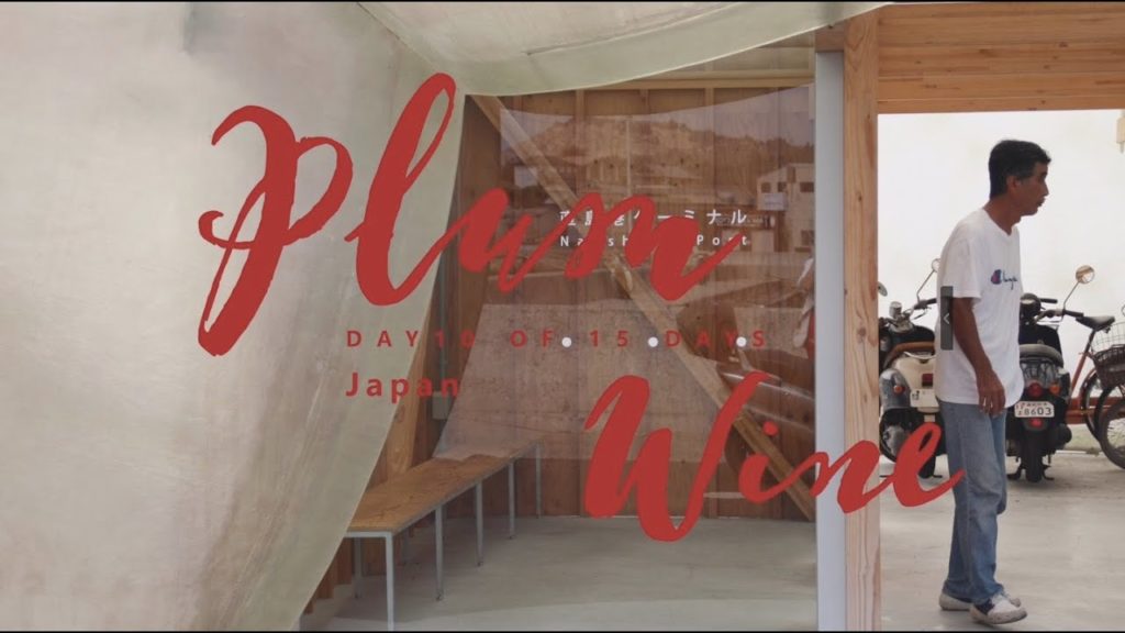 Travel Vlog🌎Plum Wine | 170730 Part.10🌈Day10 of 15 days in JAPAN