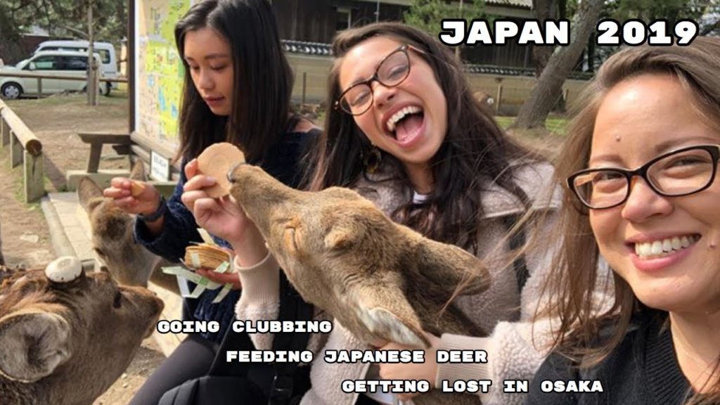 Traveling in Japan: Osaka, Kobe & Nara