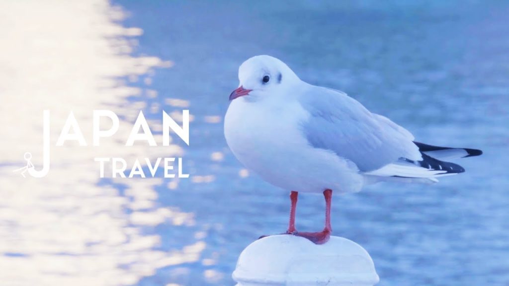 【桜木町の旅】山下公園と赤レンガ倉庫をビール片手に歩く[vlog]