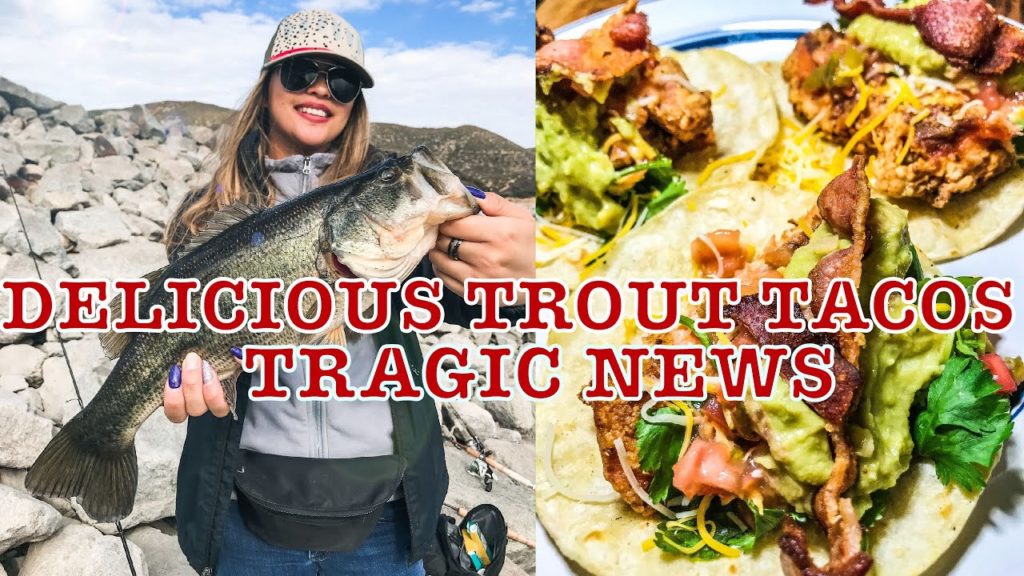 SILVERWOOD LAKE | FISH REPORT | TROUT TACOS | KOBE BRYANT SILVERWOOD LAKE | FISH REPORT | TROUT TACOS | KOBE BRYANT
