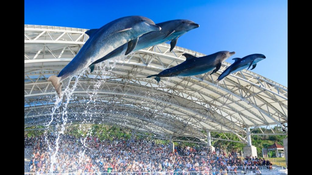 Okichan Theater, Okinawa
