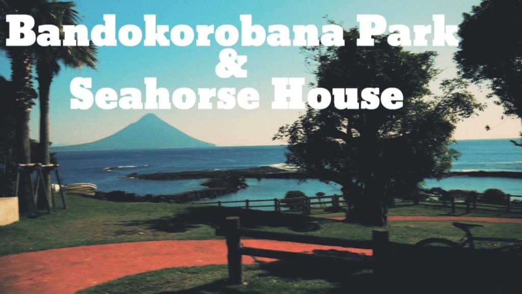 番所鼻公園とタツノオトシゴハウス Bandokorobana Park & Seahorse House ,Kagoshima