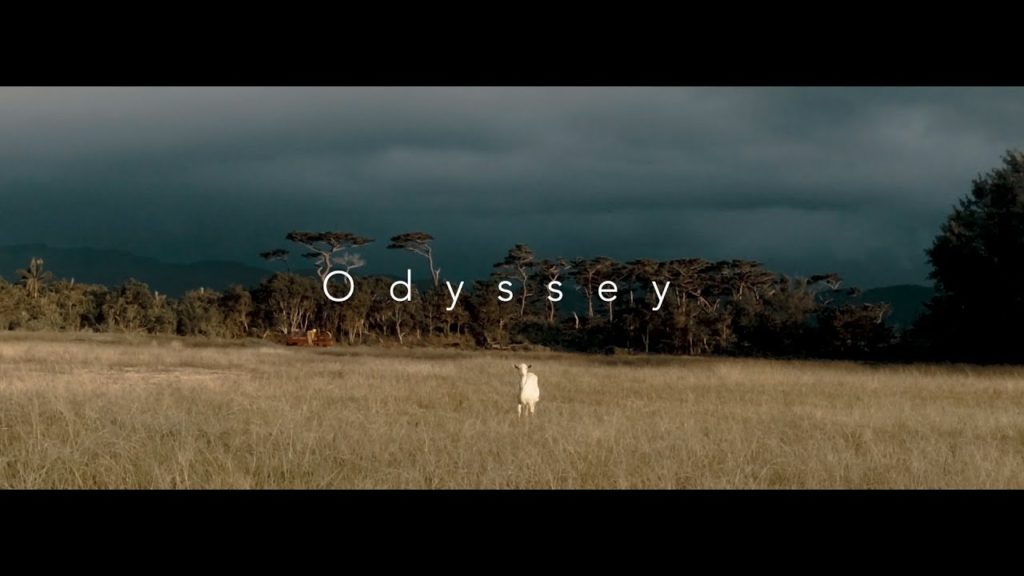 Odyssey    |   DJI Osmo Action 【西表島/由布島/竹富島/石垣島】