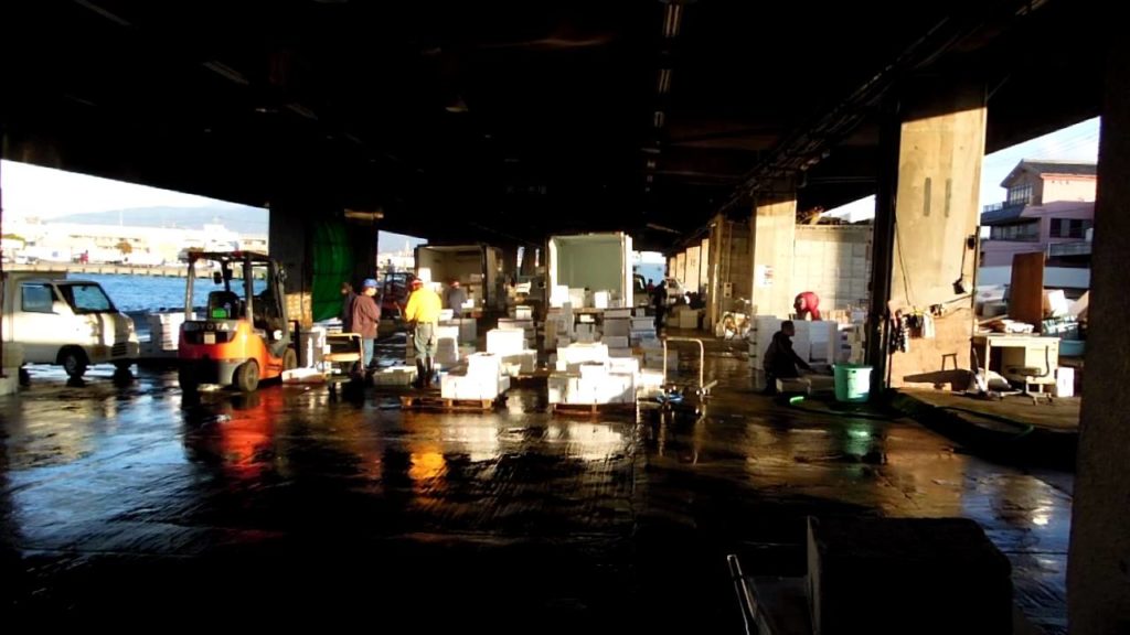 【沼津　時間図鑑】沼津港