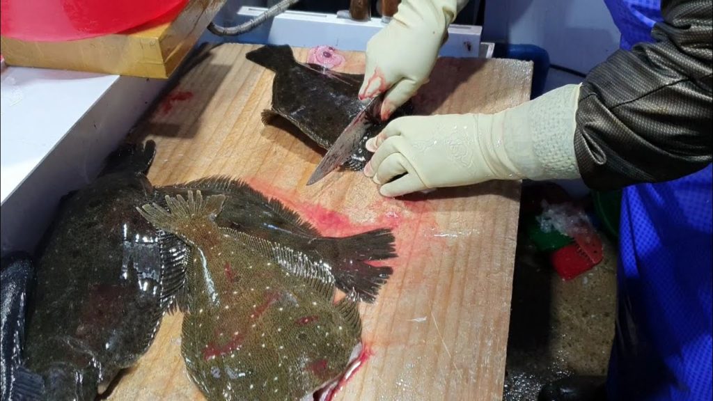 Korean street food cutting  fish sashimi live HALIBUT and KOREAN ROCKFISH sea food