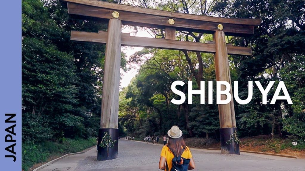 TOKYO, Japan travel guide: Shibuya crossing, Meiji shrine & Harajuku | vlog 3