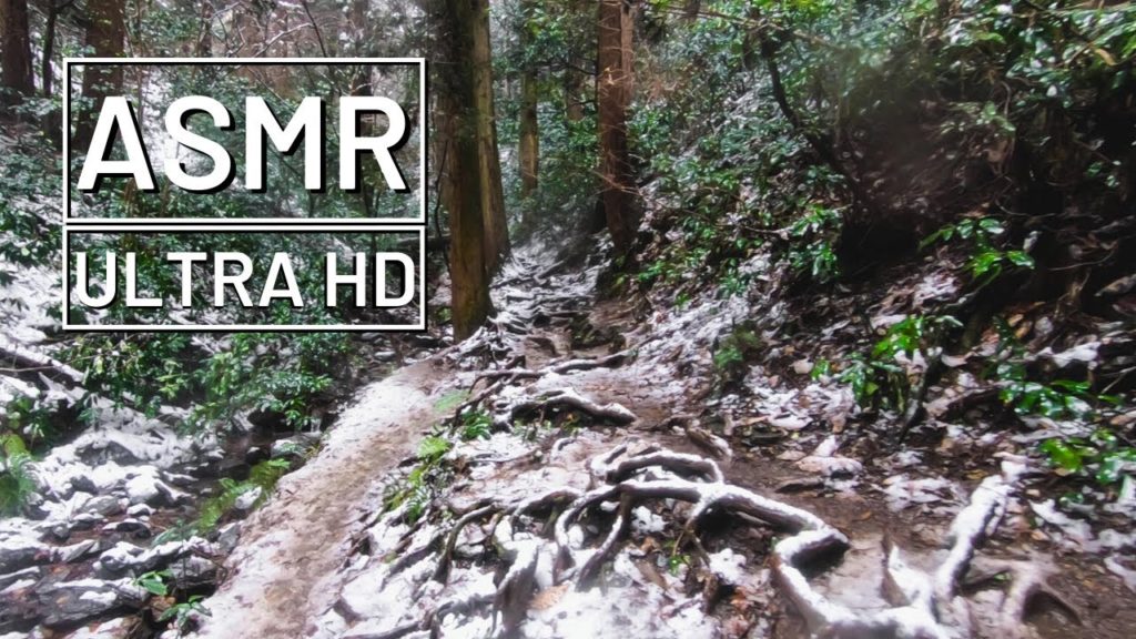 ASMR Hiking at Mt. Takao, Japan. Rain, crunching snow and nature sounds(no talking). ASMR Hiking at Mt. Takao, Japan. Rain, crunching snow and nature sounds(no talking).