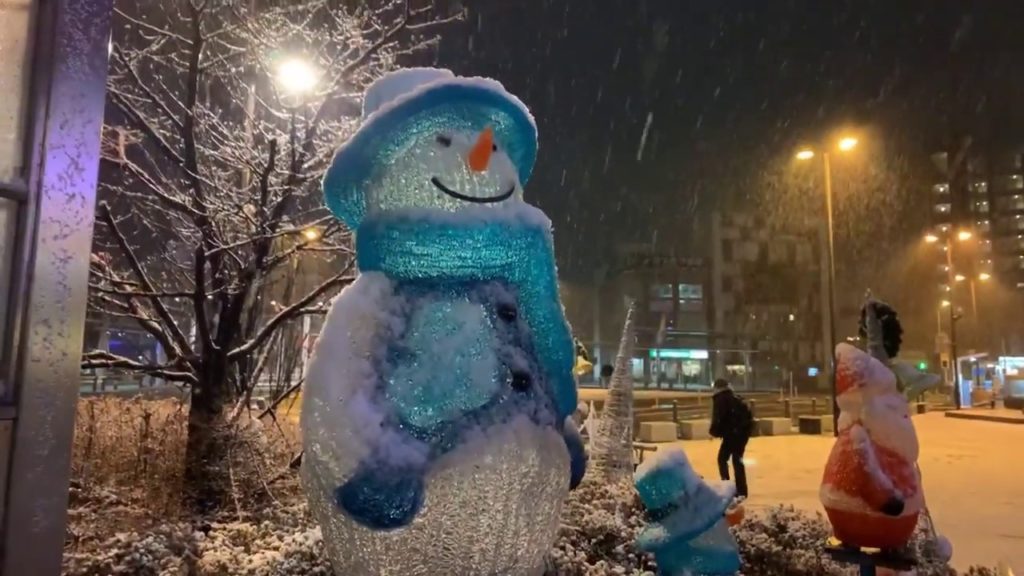 Japan 1st Snow LIVE stream 2020.01.28 Tokyo Area Suburb ASMR sleep relax focus meditate Music