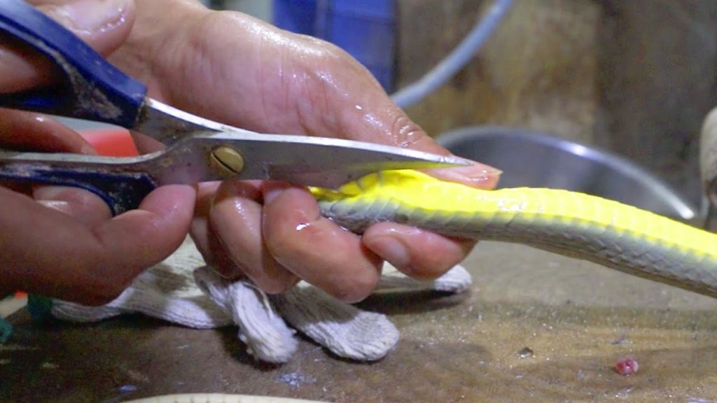 Chinese Food: FRIED SNAKE MEAT (Exotic Chinese Food) | Guangzhou, China