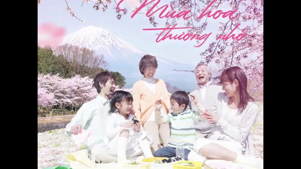 Du lịch Nhật Bản mùa hoa Anh Đào 2020 l Sông Hàn Tourist