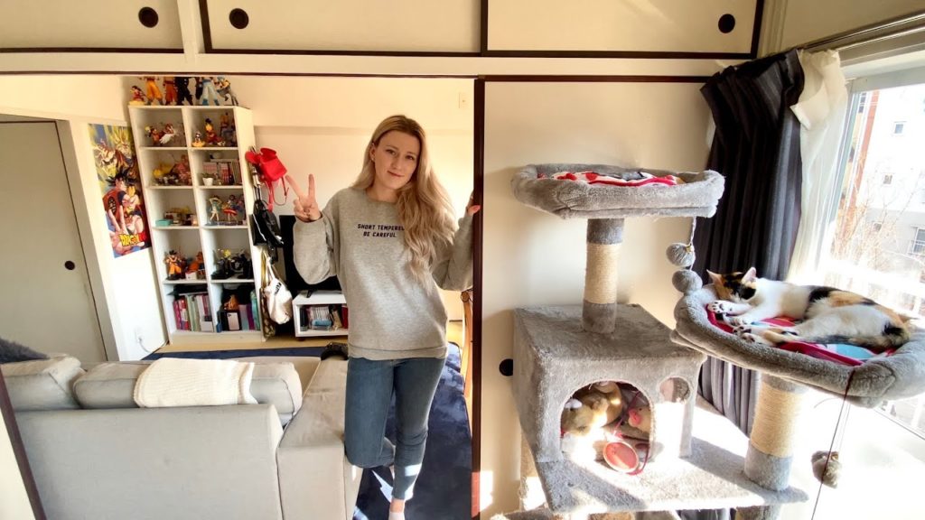 Japanese Apartment Tour + Cats vs. Ping Pong Balls! Japanese Apartment Tour + Cats vs. Ping Pong Balls!